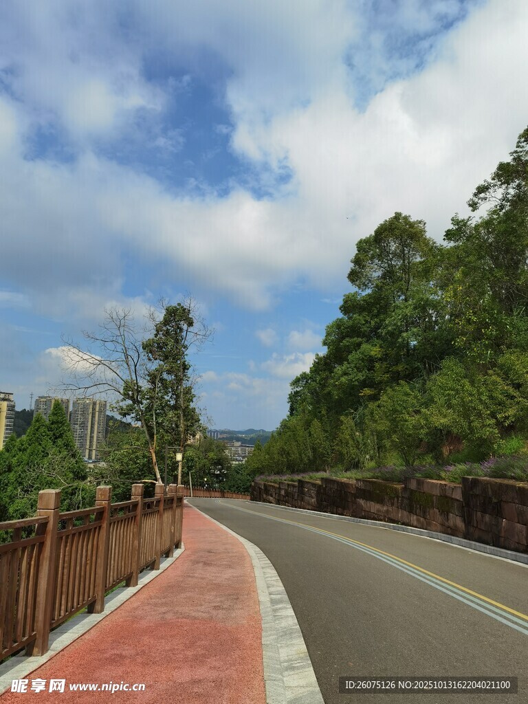 蜿蜒公路旁的自然风光