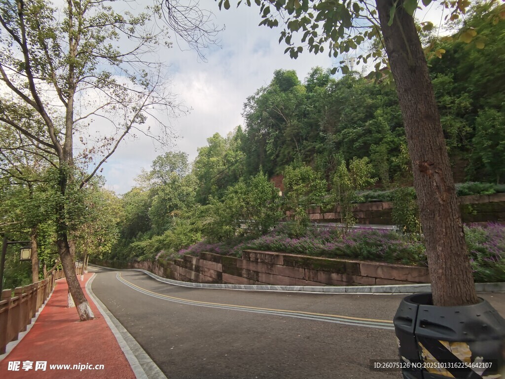 山间公路旁的绿树与红道
