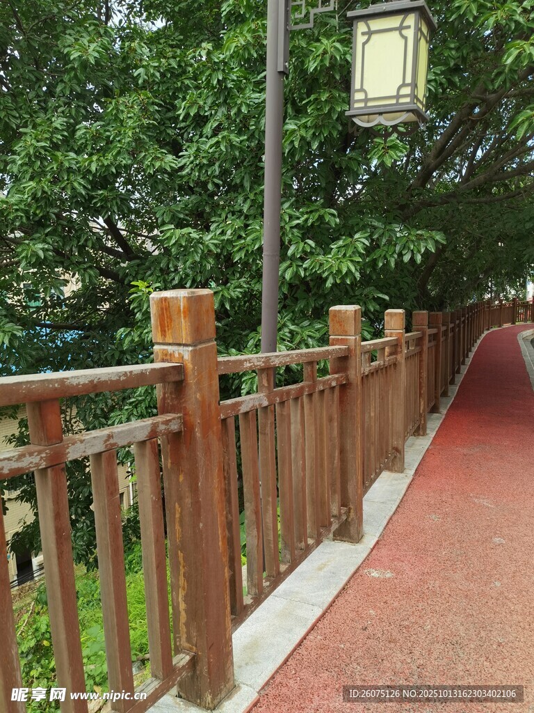 林间木质步道绿意环绕