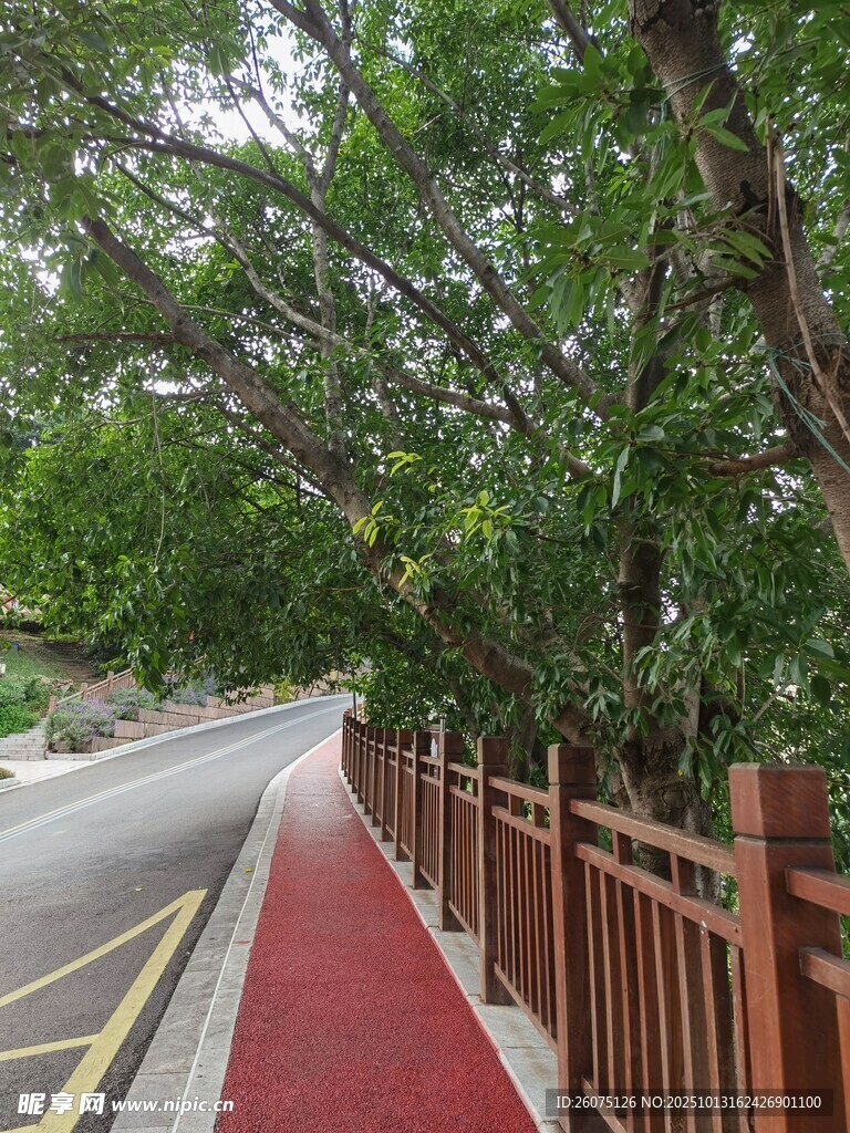 城市绿荫下的红色步道