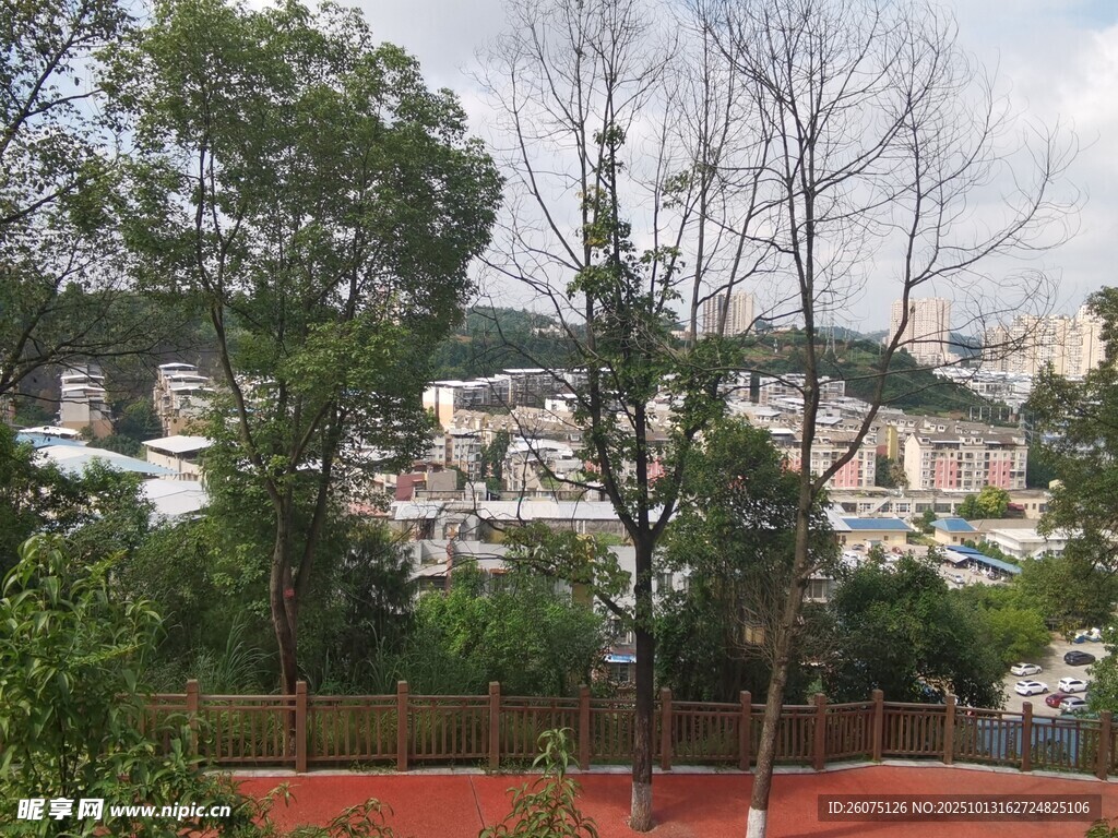 城市中的绿树红地景观
