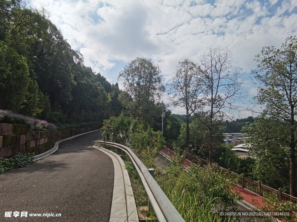 蜿蜒公路旁的葱郁景致