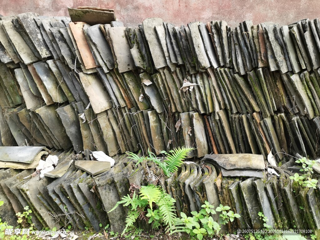 老旧瓦片墙绿植点缀