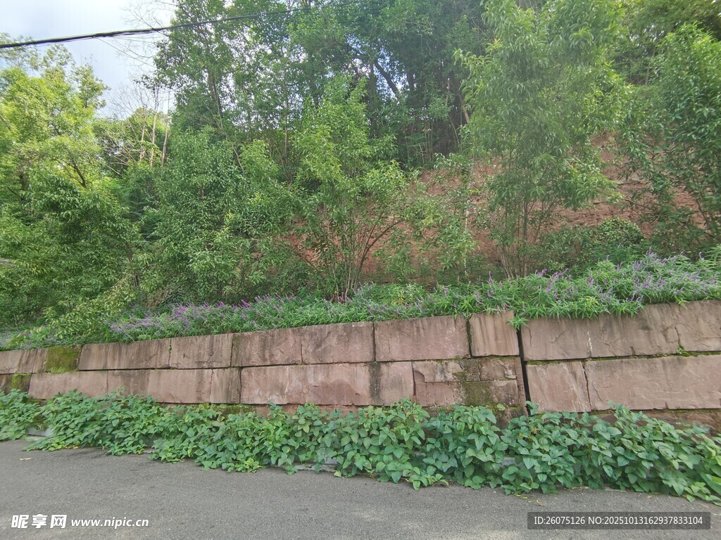 路边绿植与砖砌护坡景观