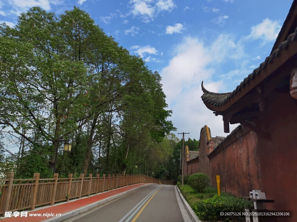 古墙旁的林荫道路