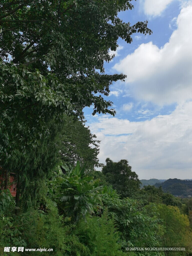 山林间的蓝天白云绿树