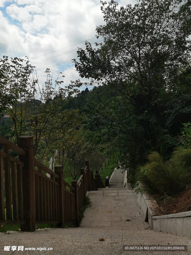 乡间小路