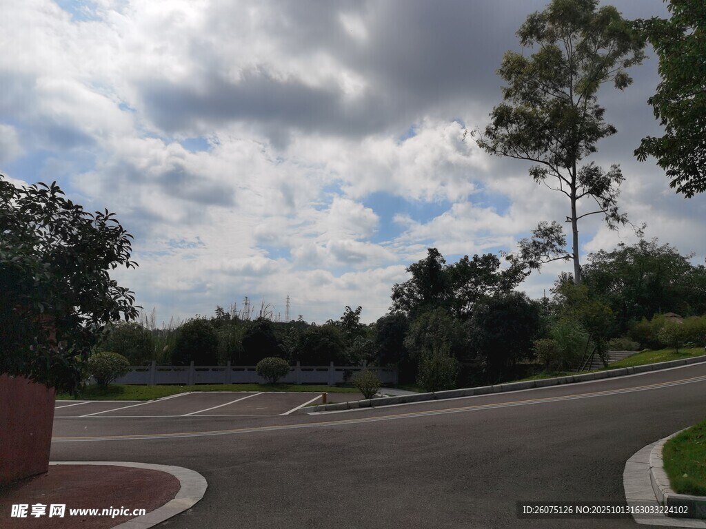 蜿蜒道路旁的绿树与蓝天
