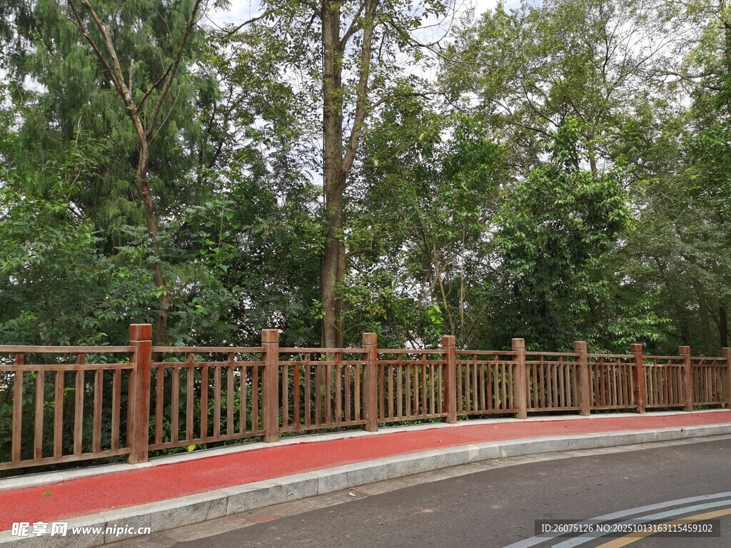 林间红道旁的木质围栏