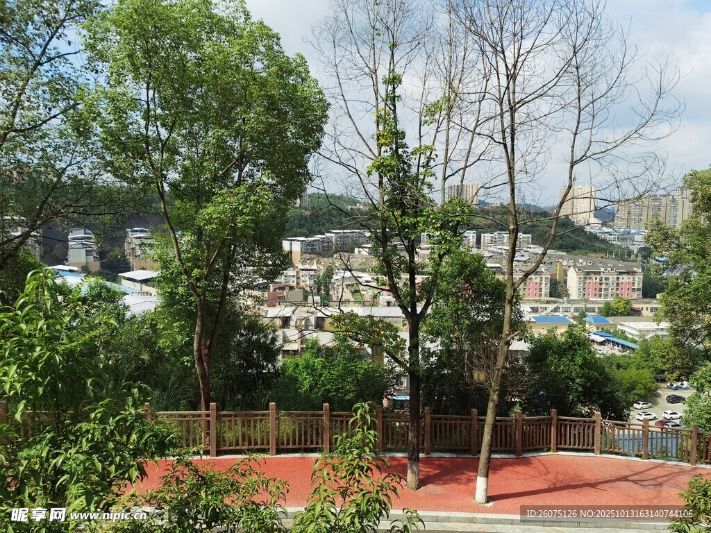校园绿树环绕的红色操场