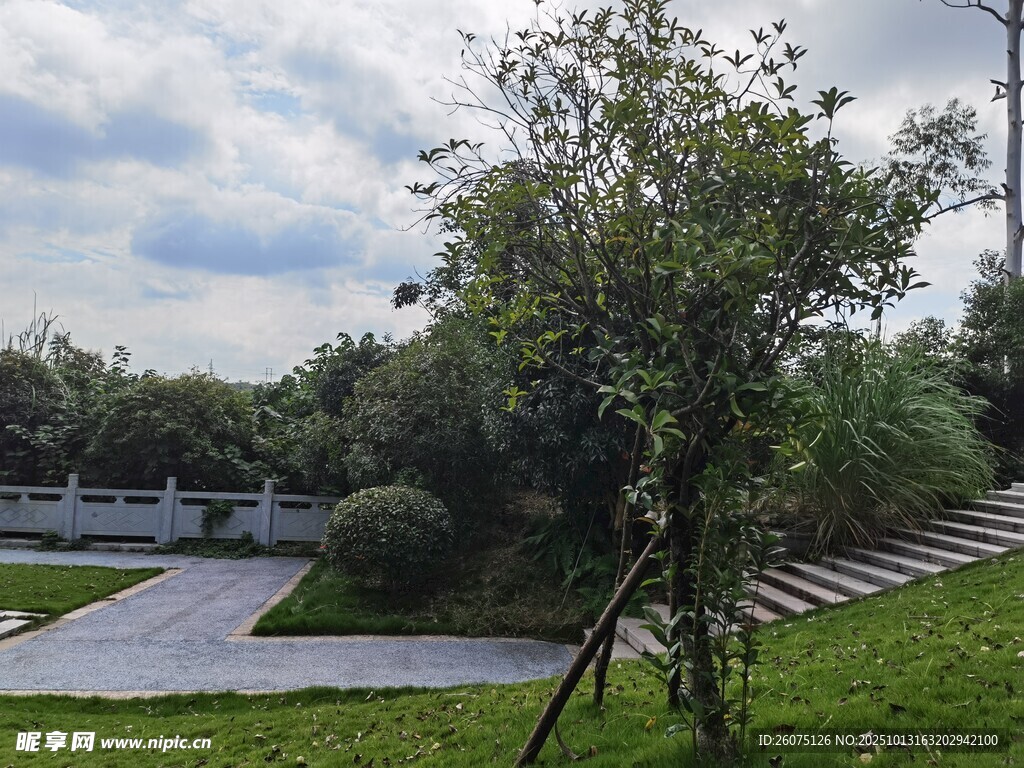 户外绿植景观小径