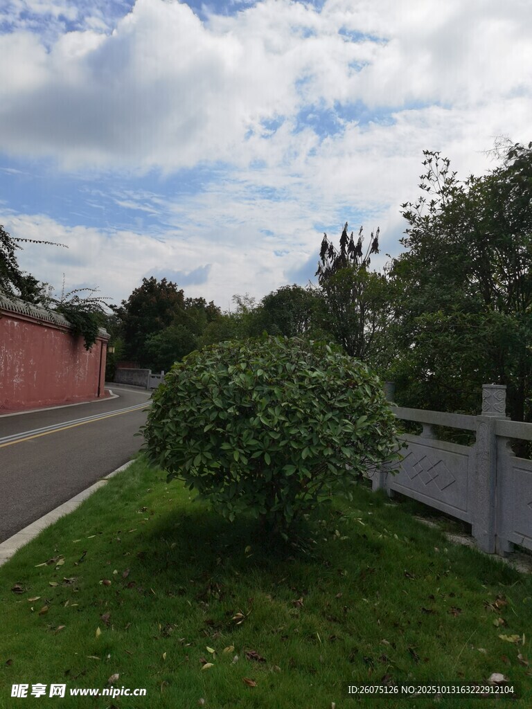 路边绿植与红墙景致