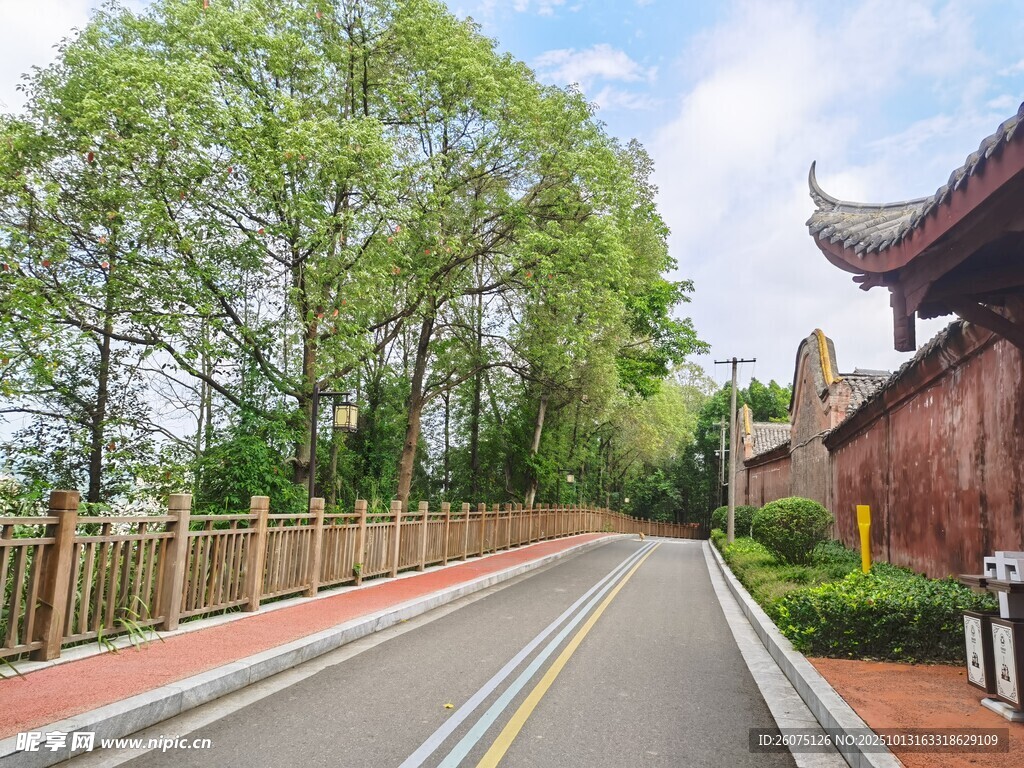 古建旁的林荫道路