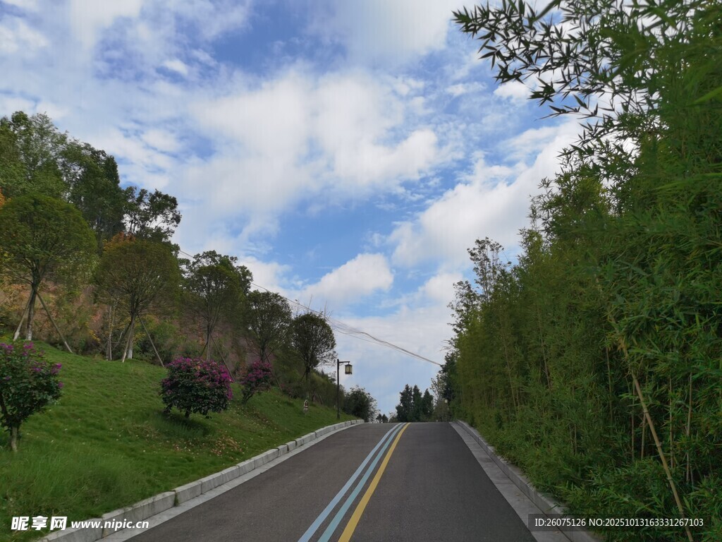 林间公路畅享自然之旅