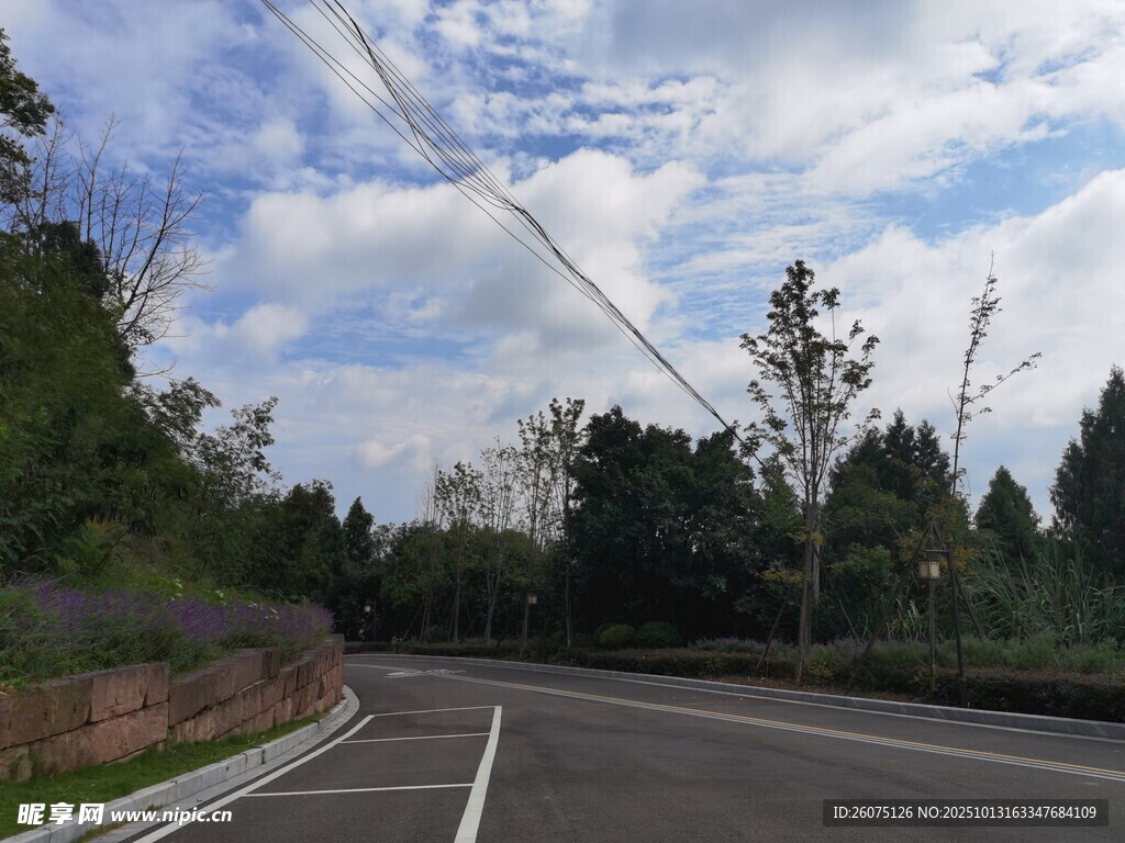 宽阔公路旁绿意盎然景象