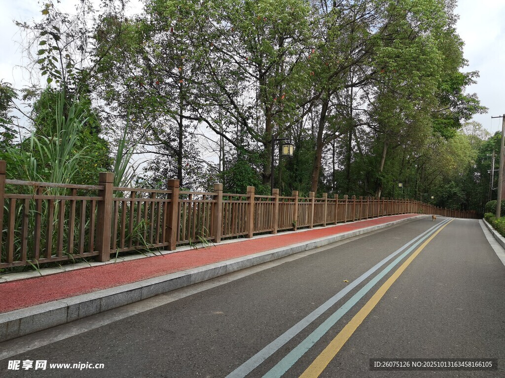 彩色公路旁绿树成荫