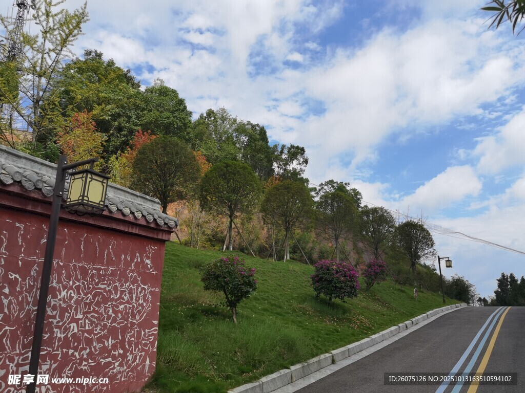 路边景致绿树红墙伴蓝天
