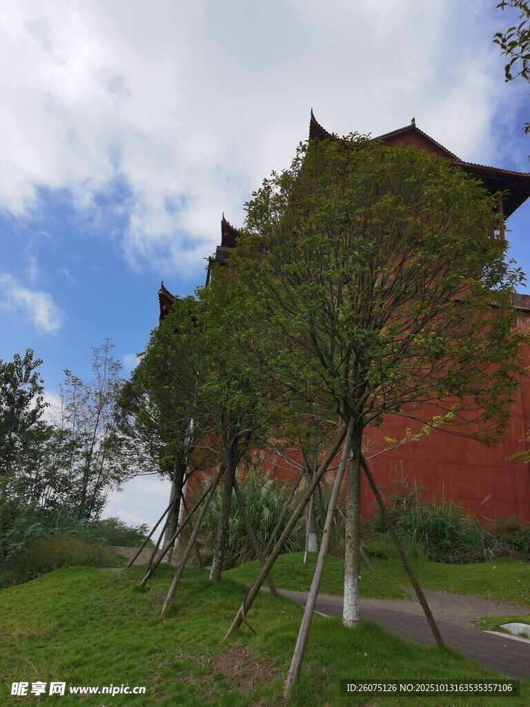古建旁绿树成荫的景致