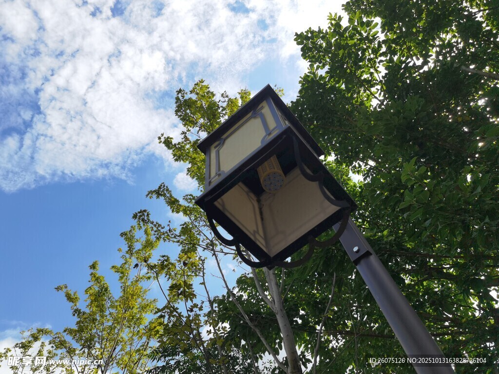 蓝天绿树间的复古路灯