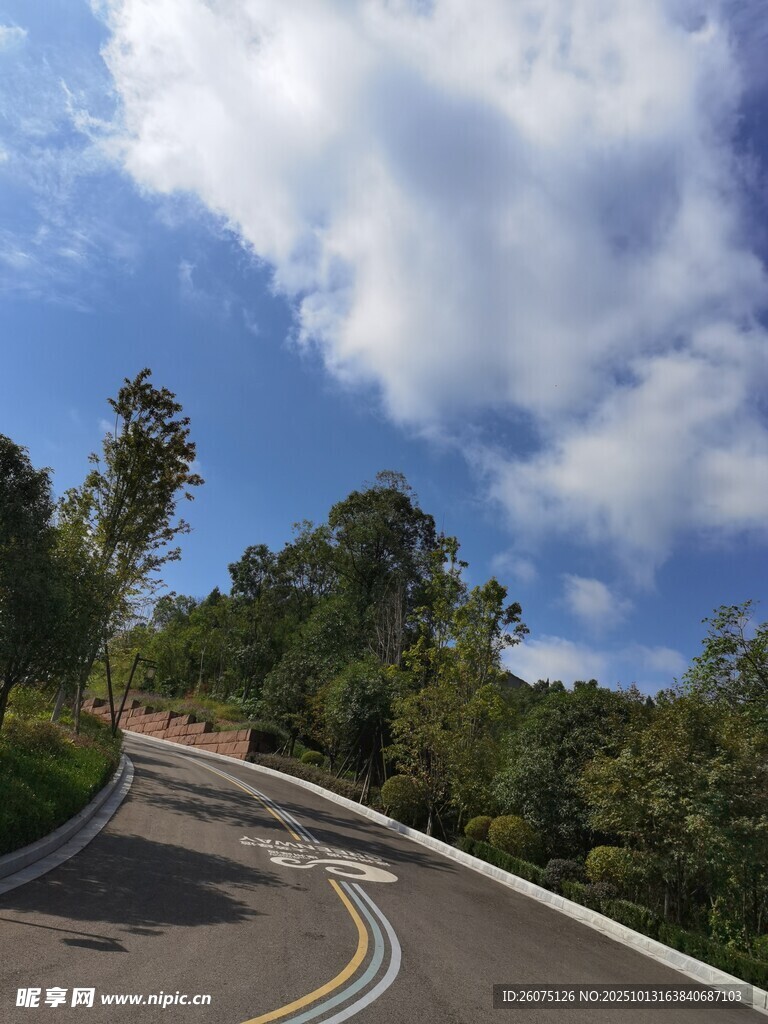 蜿蜒公路旁的葱郁景致