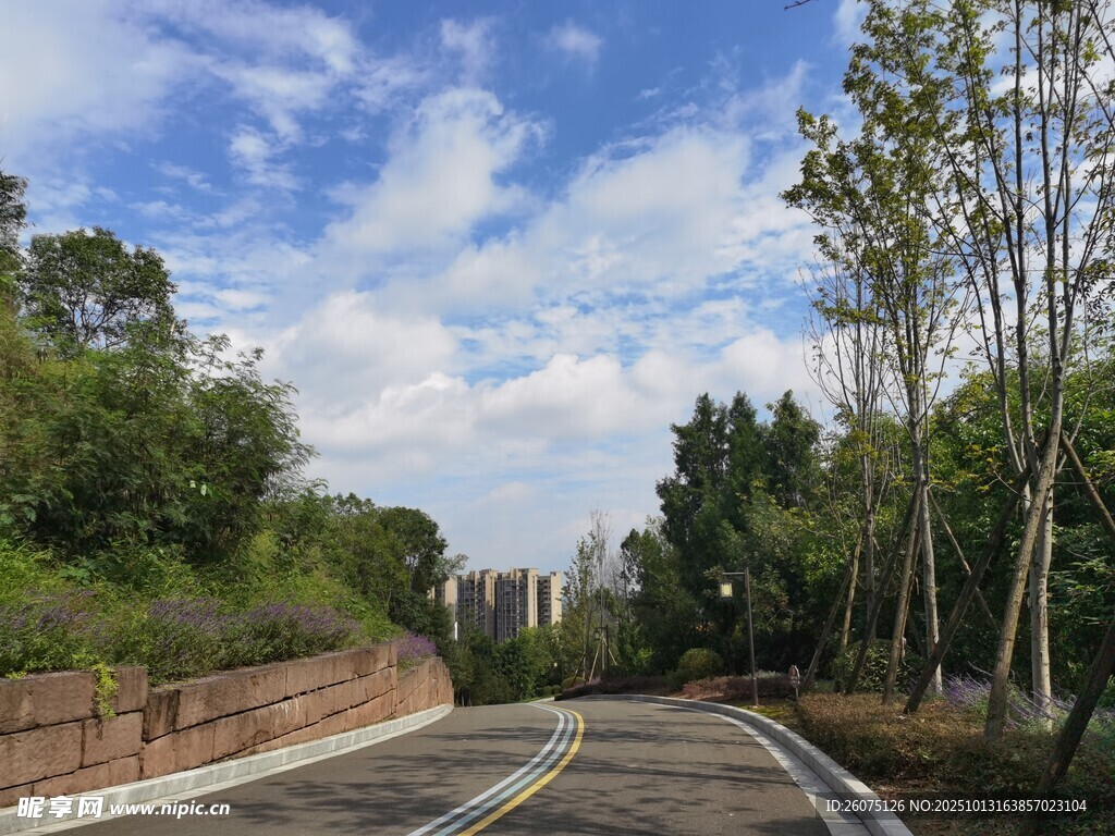 蜿蜒公路旁绿树蓝天白云