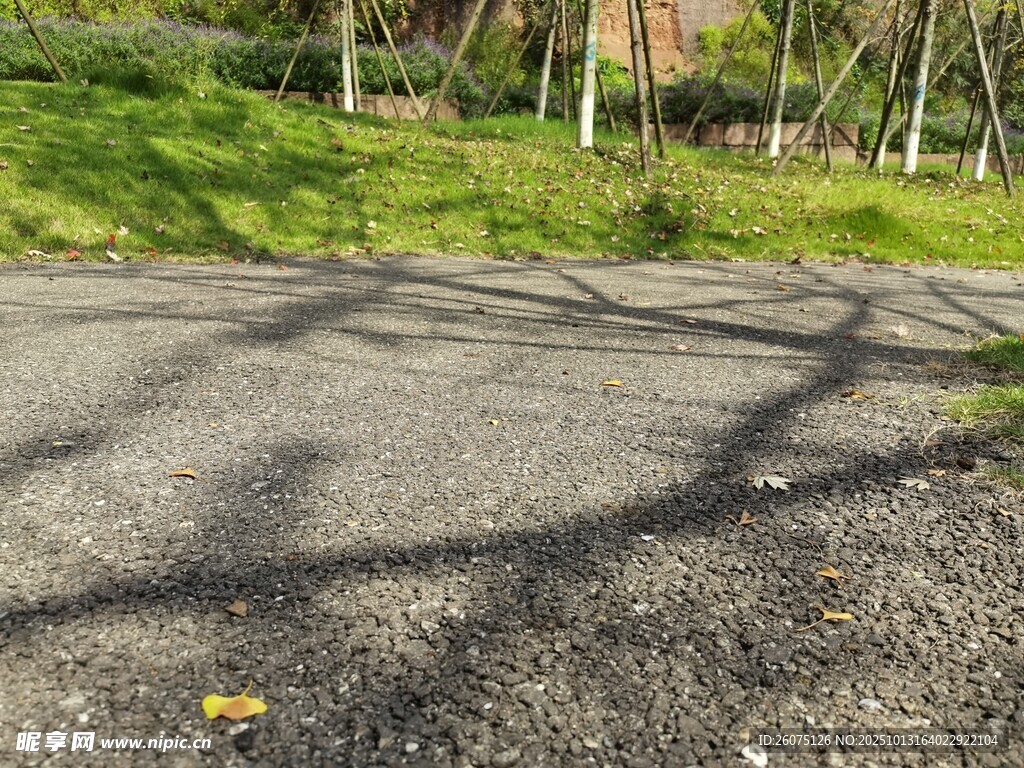 阳光洒落的林间碎石小道