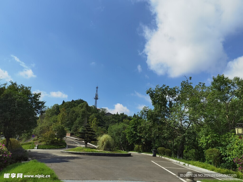 乡村公路旁的葱郁景致