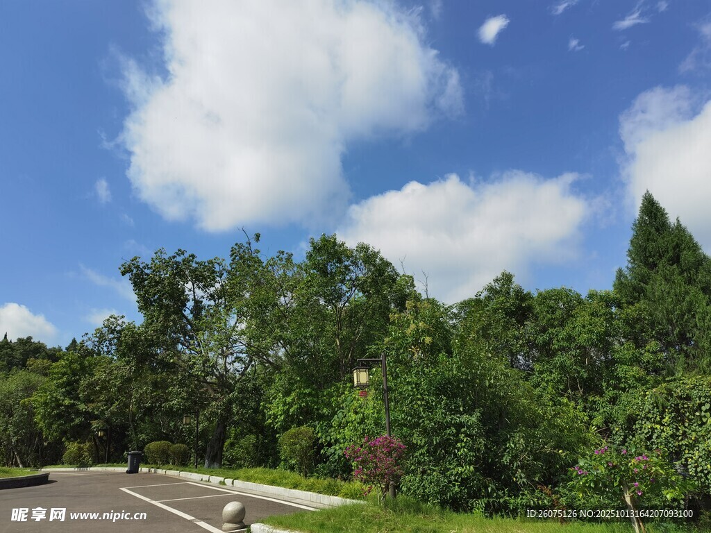 蓝天白云下的林间公路