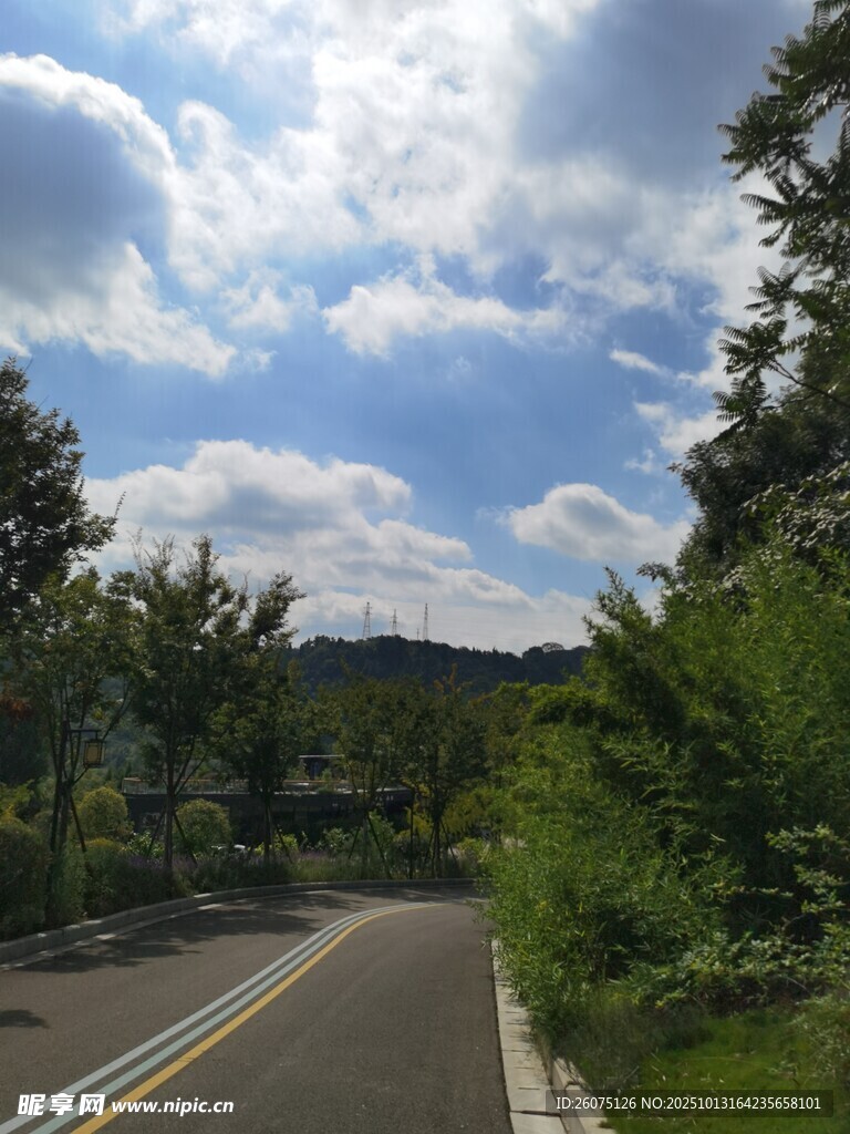 蜿蜒公路旁绿意盎然风景