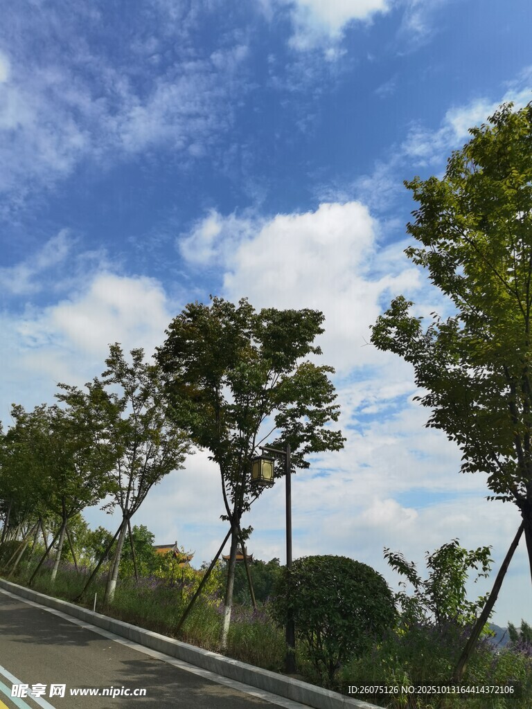 公路旁绿树蓝天美景