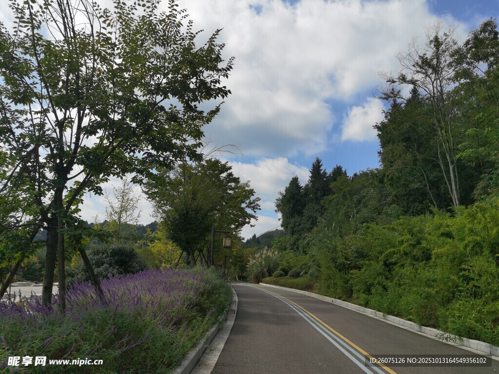 蜿蜒公路旁的自然景致