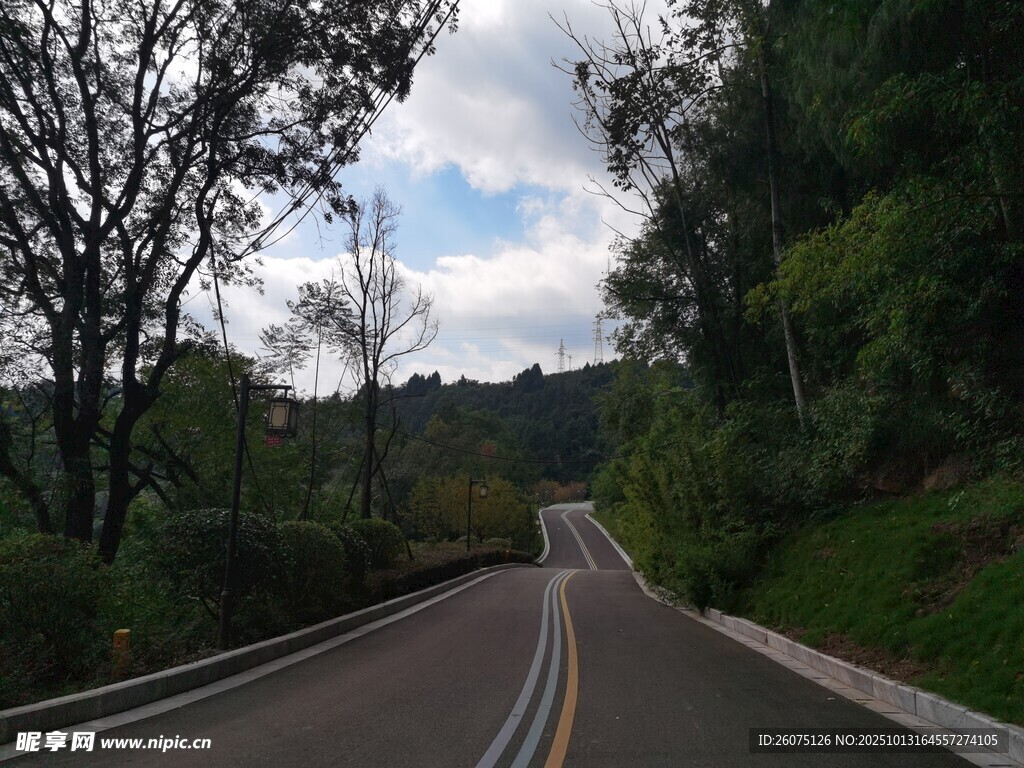 蜿蜒山间公路绿意环绕