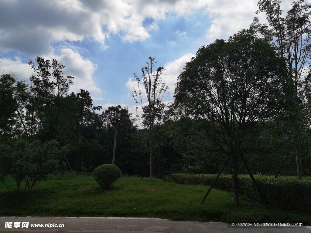 户外绿意盎然的自然景致