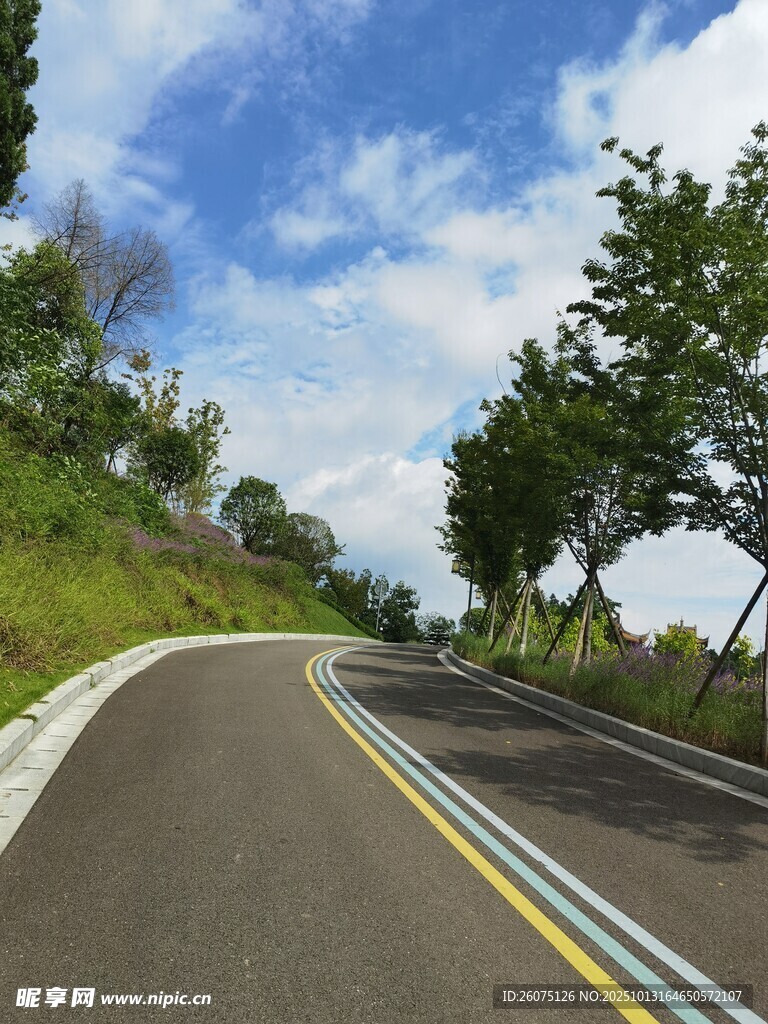 蜿蜒公路旁绿意盎然