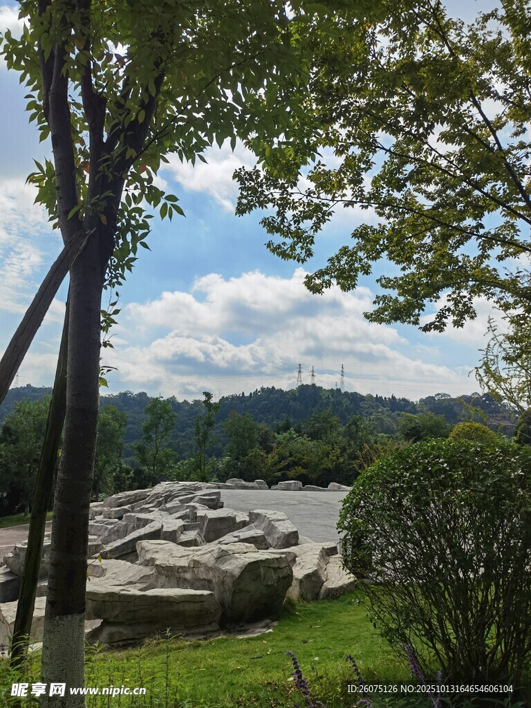 户外自然美景绿树与石景