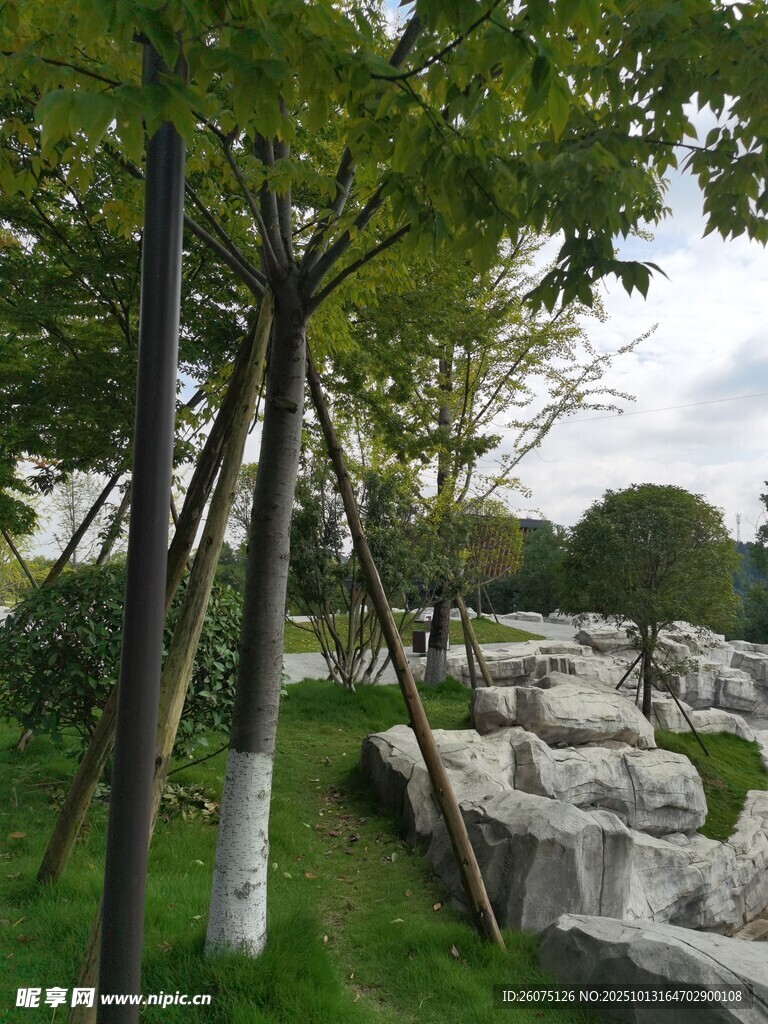 园林绿植与石景景观