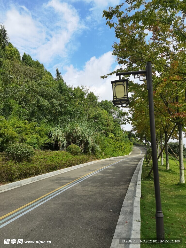 林荫公路自然风光宜人