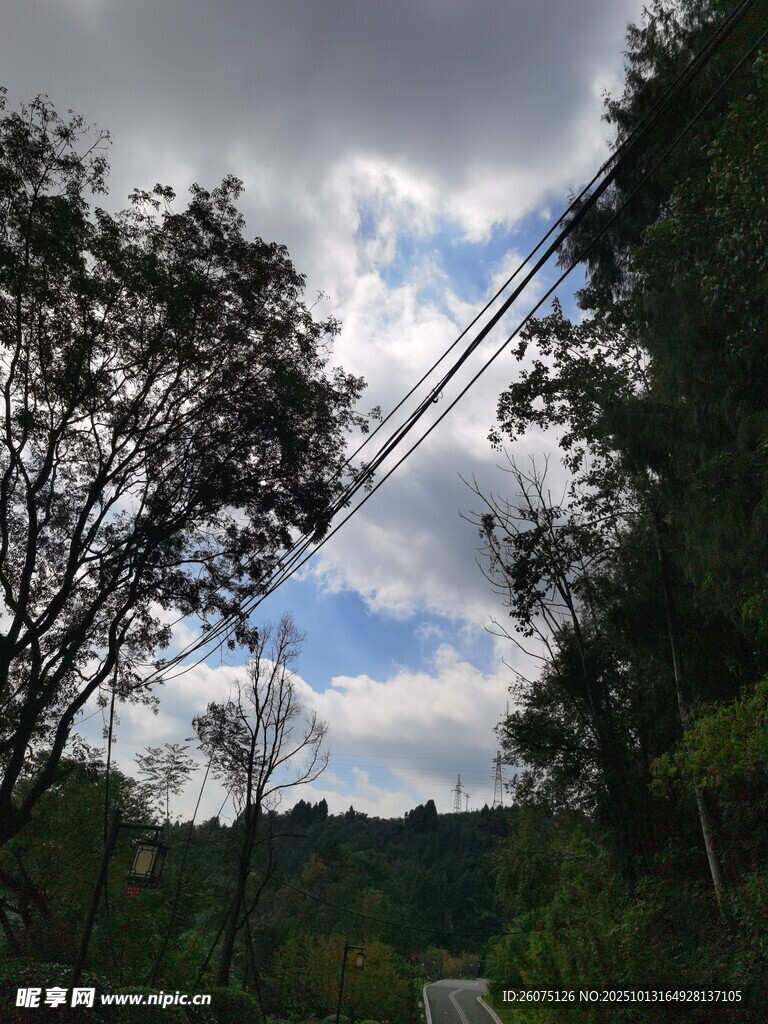 林间小道天空与树木景致