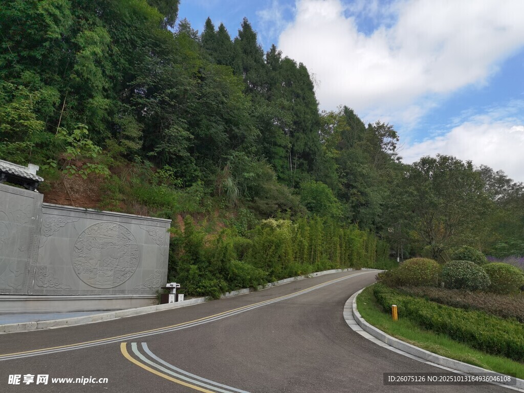 蜿蜒山间公路绿意环绕