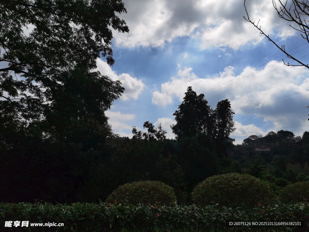 蓝天白云下的园林景致