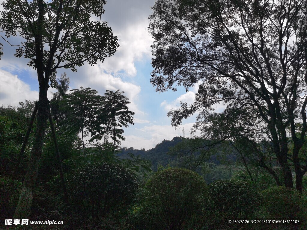 山林间的蓝天白云景致