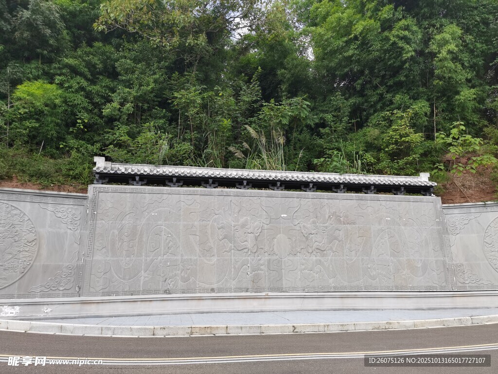 公路旁的绿植与水泥挡墙