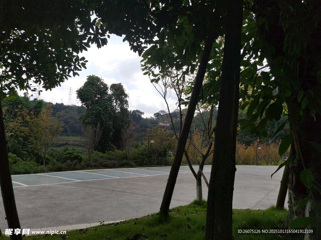 林间静谧道路风景