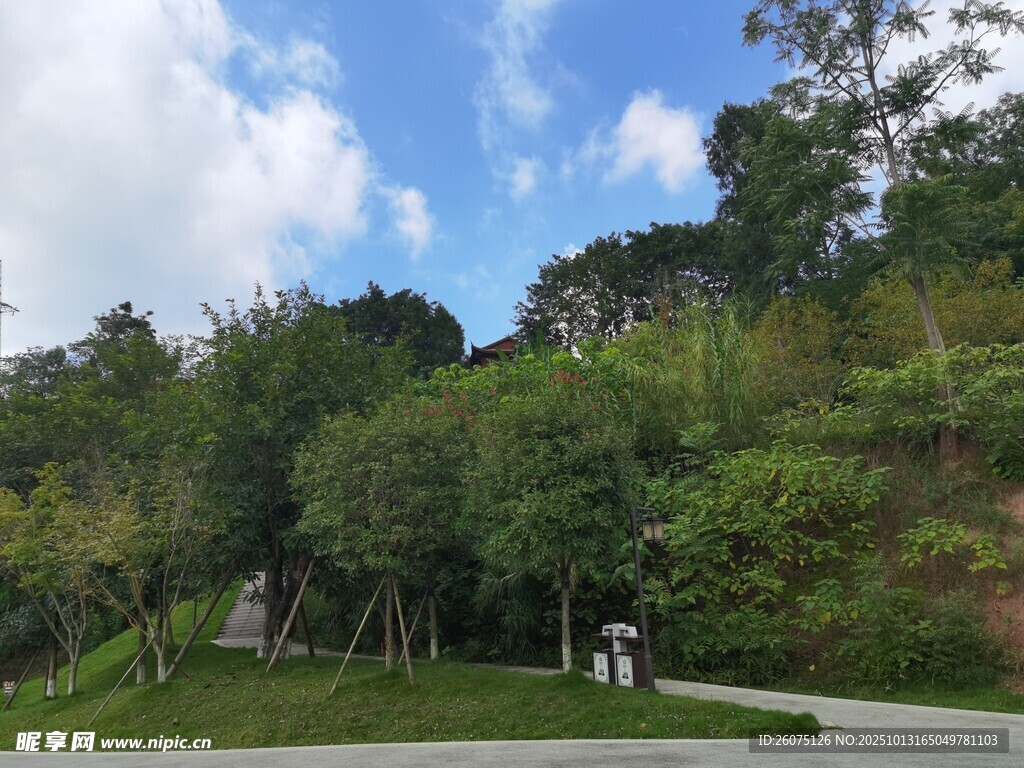 山林间的休闲漫步场景