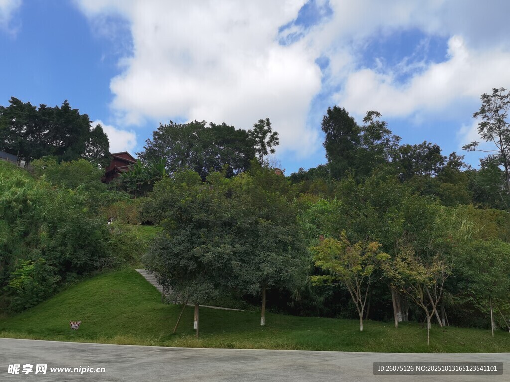 绿意盎然的户外美景