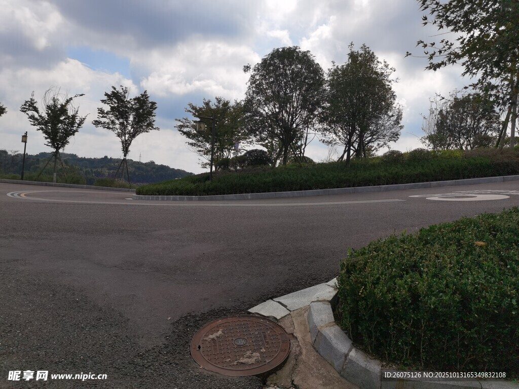 户外道路边的绿植与井盖