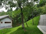 绿意环绕的小屋与步道