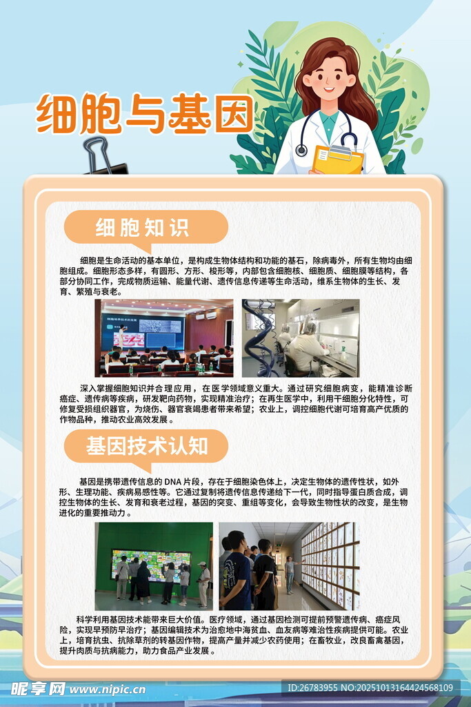 细胞与基因科普展板