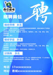 企业招聘岗位信息海报