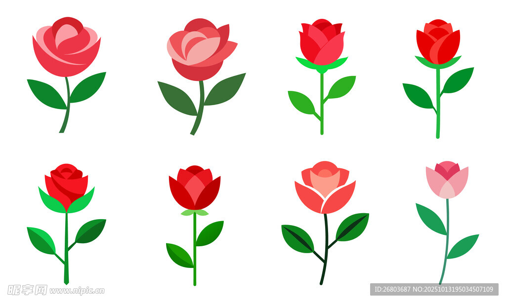 玫瑰花图案
